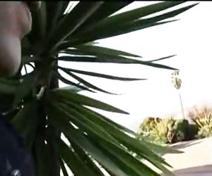 rogacz sen w wakacje